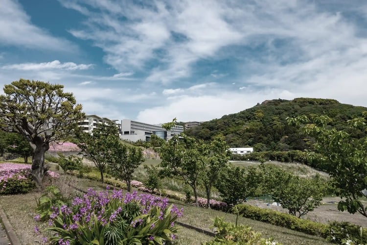 Satsuki and Tsutsuji (Azaleas) at Shonan Village West Park, Hayama