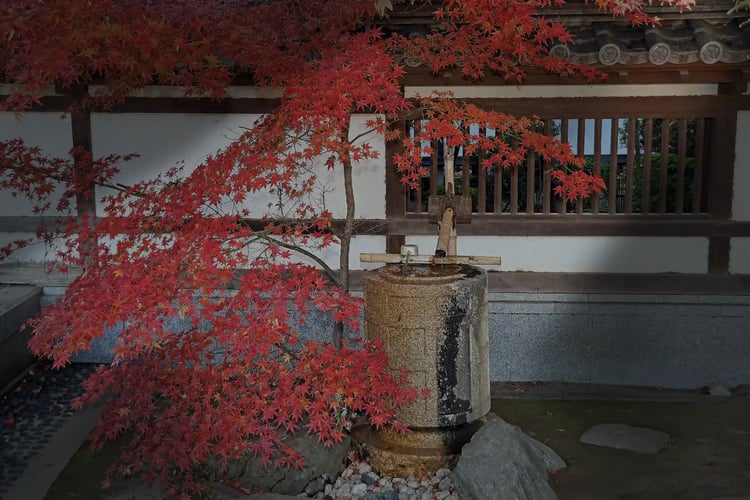 The Suikinkutsu of Renkeiji Temple in Kawagoe