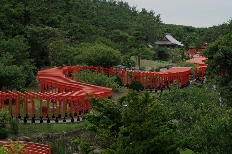 Takayama Inari Shrine_s Senbon Torii (Thousand Torii Gates)