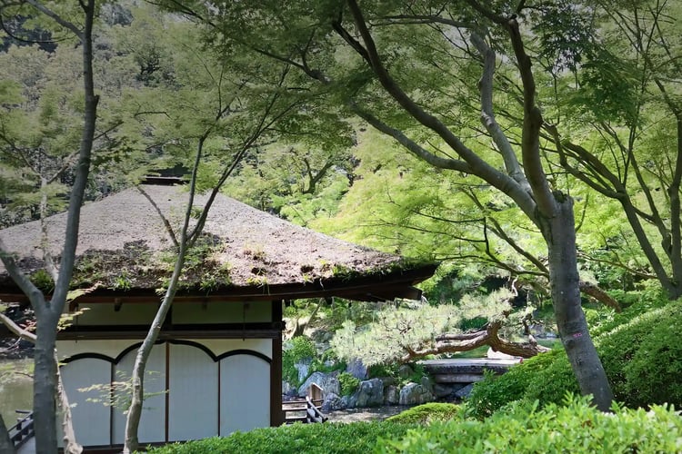 Wakayama Castle Garden A thatched-roof building surrounded by lush greenery
