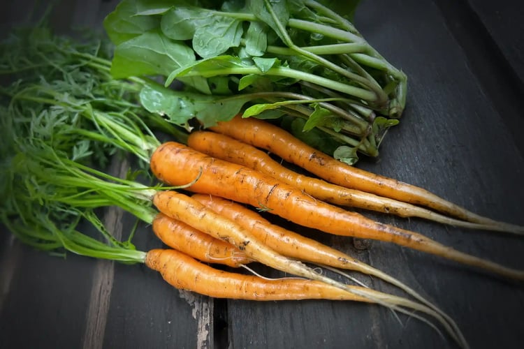 Fresh ingredients