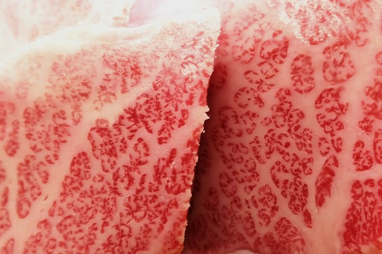 Yonezawa beef marbled short rib for yakiniku