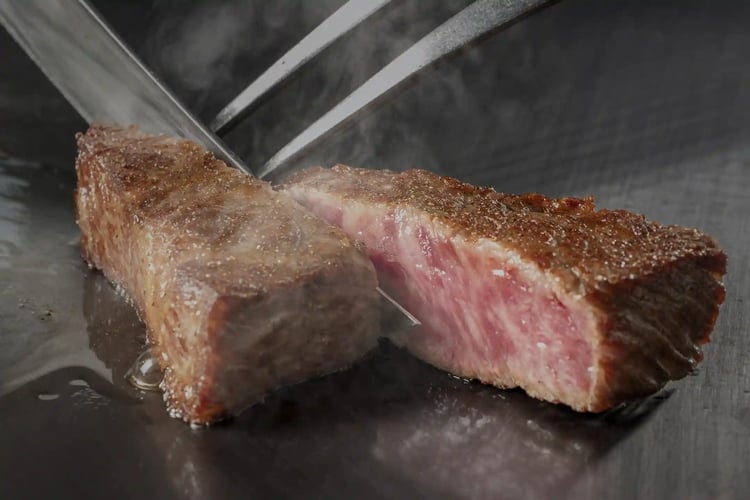 Teppanyaki Steak