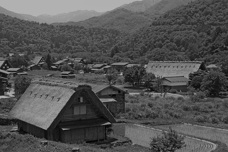 The nature-rich Hida Shirakawa-go