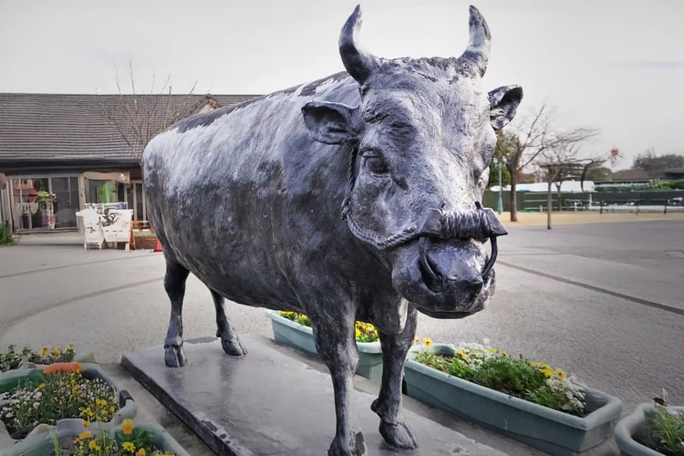 The bronze statue of Matsusaka beef in front of Matsusaka Station