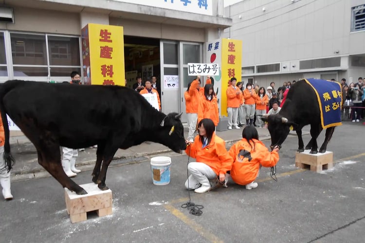At Gifu Prefectural Kamo Agricultural and Forestry High School