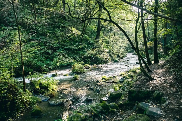 A stream on the way to Ryu-gaeshi Waterfall in Karuizawa Town