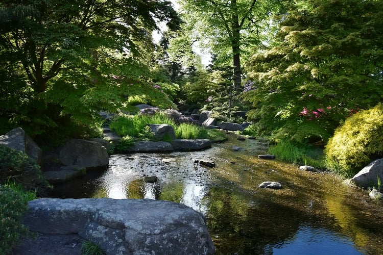 Strolling through a Japanese garden rich in natural beauty