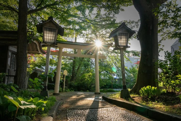 A lush, green shrine in the middle of a city