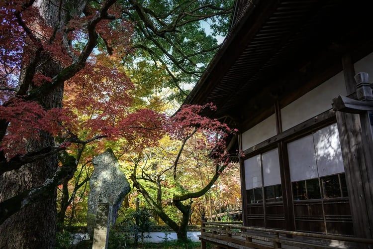 This photograph beautifully captures a traditional Japanese temple or building during the vibrant autumn season