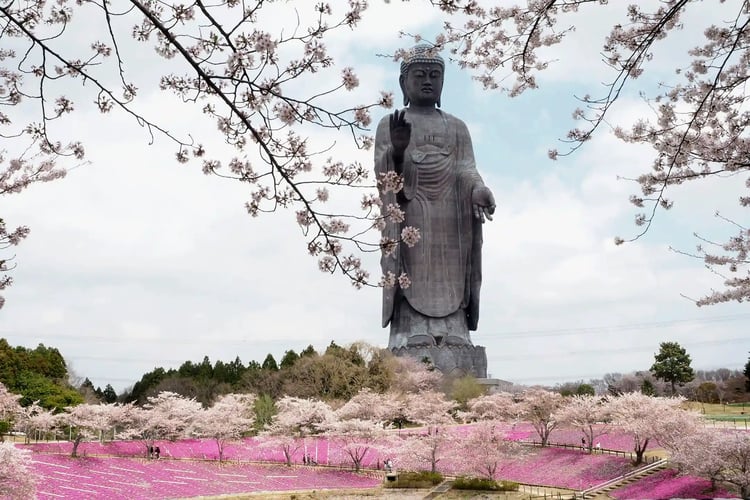 Ushiku Daibutsu in Ushiku, Ibaraki Prefecture, Japan