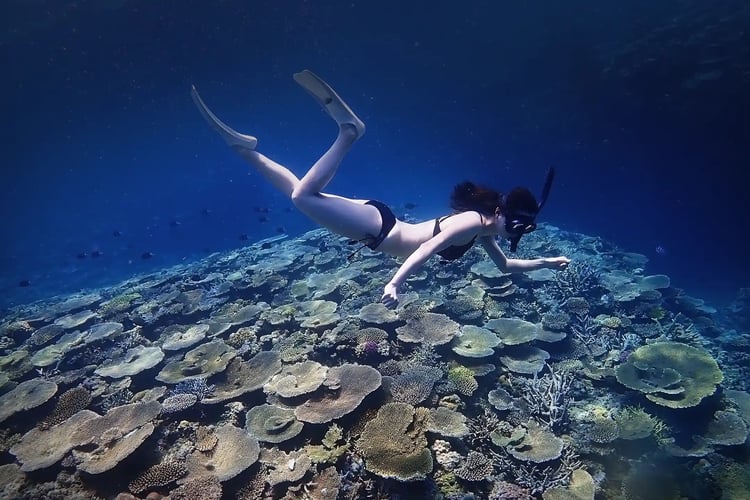 A freediver in a bikini swimming above a coral reef