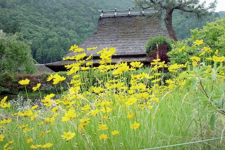 A thatched-roof farmhouse surrounded by flowers