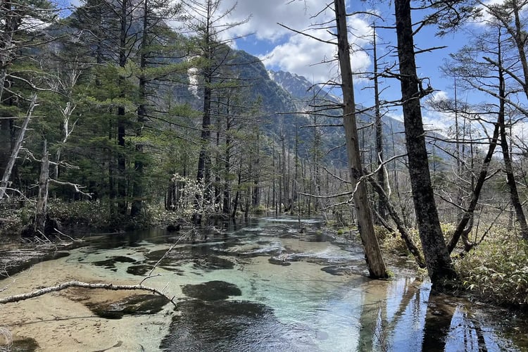 Gakusawa Marshland, a hidden gem in Kamikochi, Nagano Prefecture