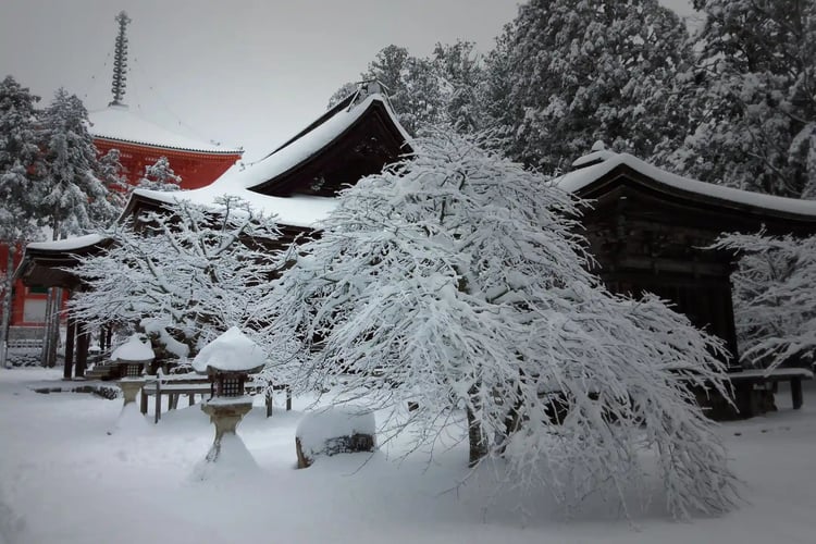 Winter in Koyasan