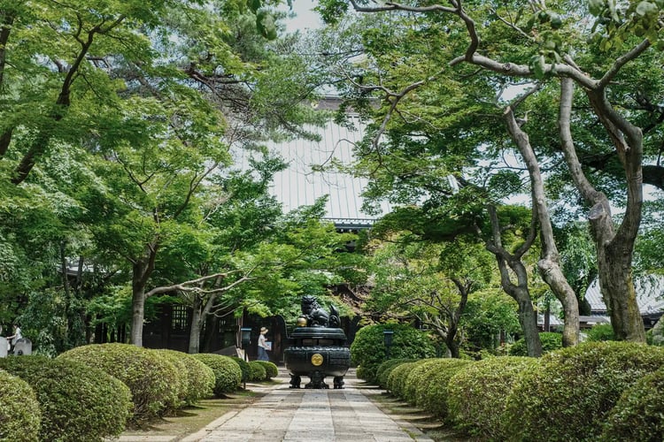 Gotoku-ji Temple in summer, Setagaya, Tokyo