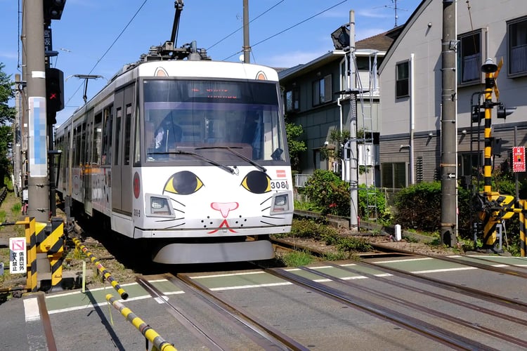 Maneki-neko train