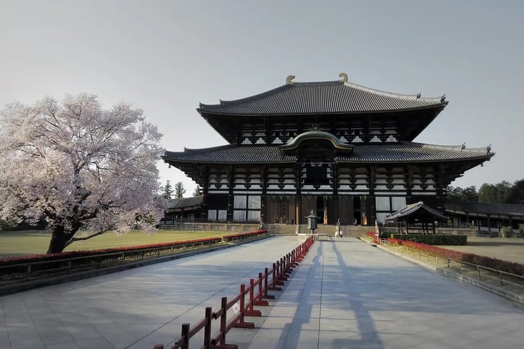 Todai-ji Daibutsuden and Cherry Blossoms