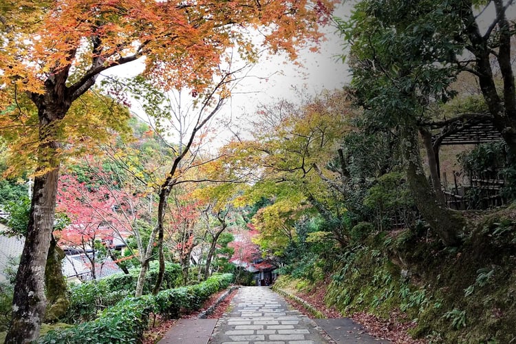 A sloping road in Oku-Saga, Kyoto, during the autumn season