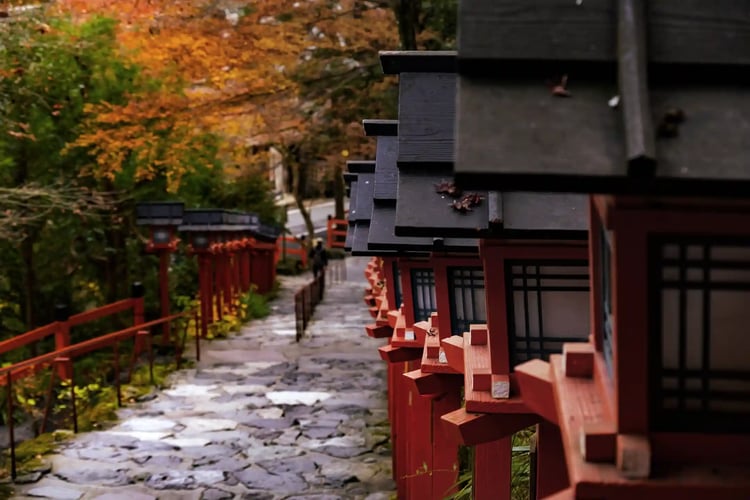 Autumn leaves at Kifune Shrine, Kyoto