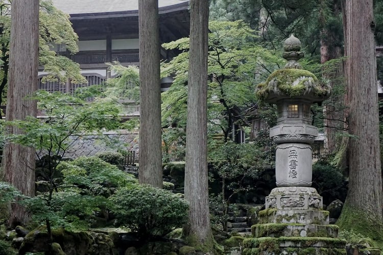 Moss-Covered Stone Lanterns at Eiheiji Temple