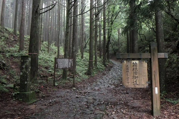 Hiking the Hakone Old Road_s cobblestones