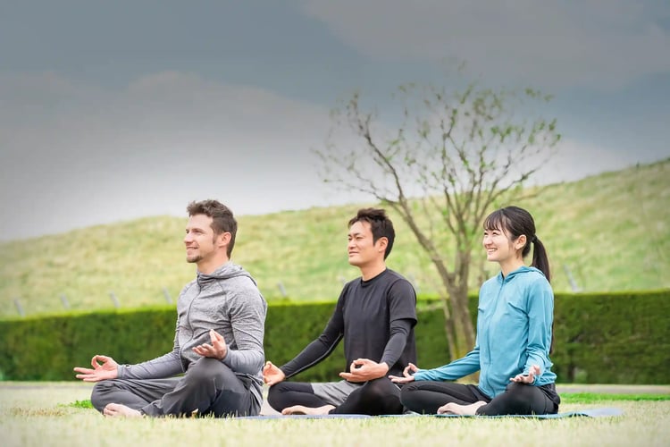 Men and women doing a yoga class in the park for health