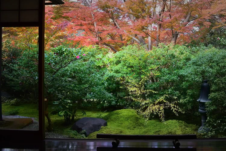 Autumn Maples (Momiji) at Rurikoin Temple, Kyoto