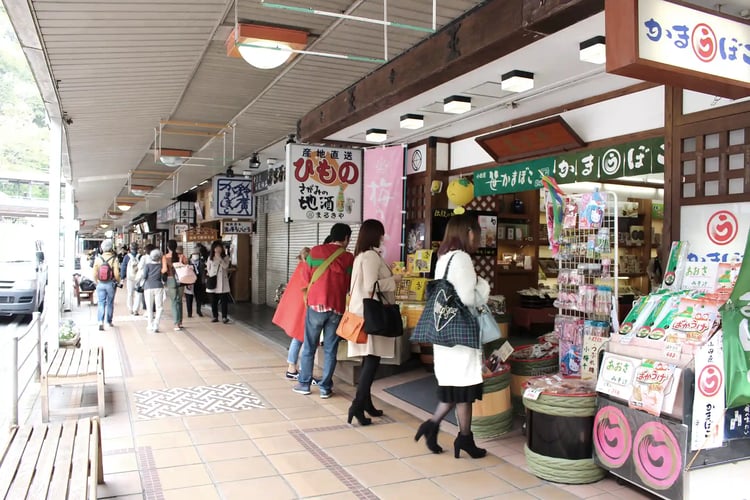 Omiyage Shops near Hakone Station