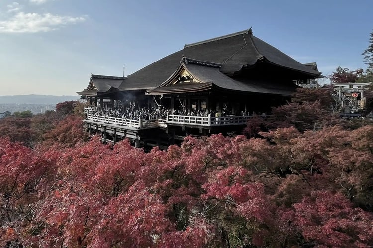 Kiyomizu-dera Temple in Kyoto is one of Japan_s most iconic and popular spots for viewing autumn leaves (koyo)