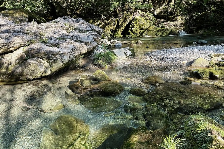 A highly transparent river
