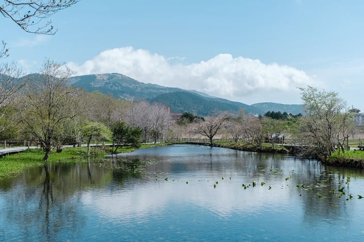 [Hakone Town, Kanagawa Prefecture] Spring on the Plateau