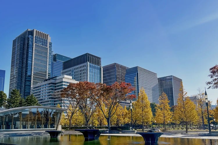 Ginkgo trees turning yellow and soaring skyscrapers