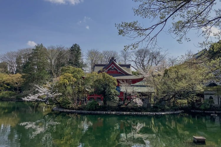 Inokashira Benzaiten Shrine and Inokashira Park in Spring