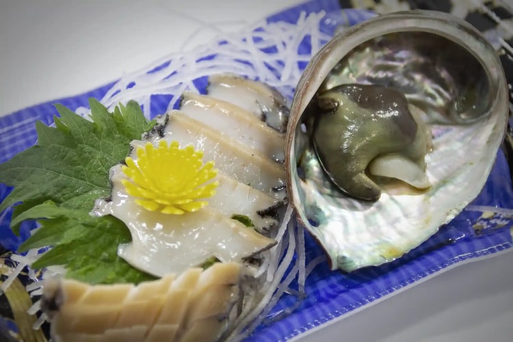 Abalone sashimi