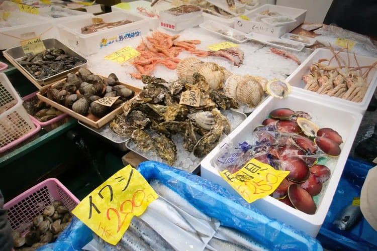 Kuromon Market_s fresh catchseafood (Emphasizes the freshness)