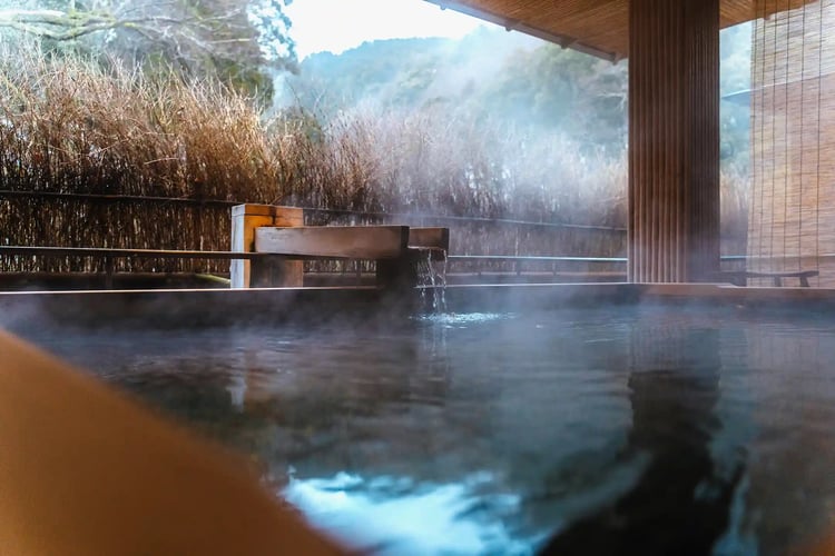 Traditional Japanese Inn with Hot Springs