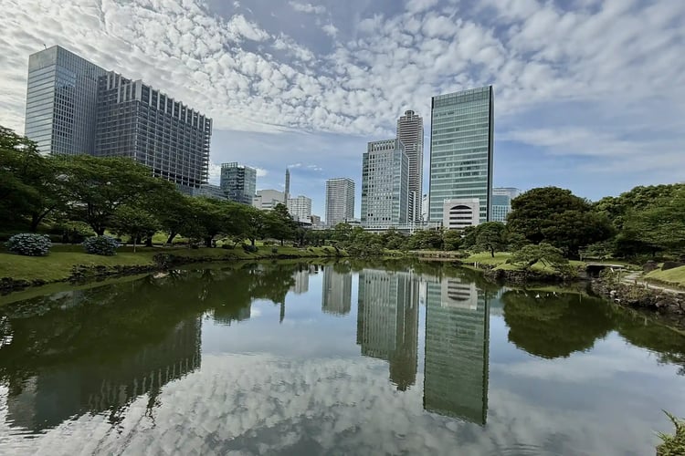 Kyu Shiba Rikyu Garden in June