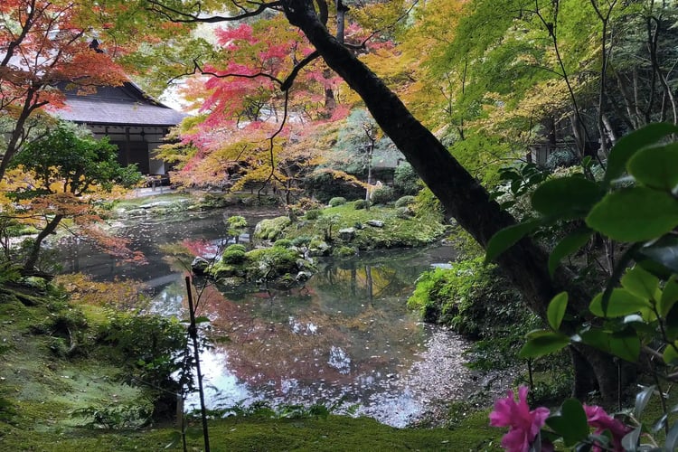 Autumn Leaves at Nanzen-in Temple, a Sub-temple of Nanzen-ji, Kyoto