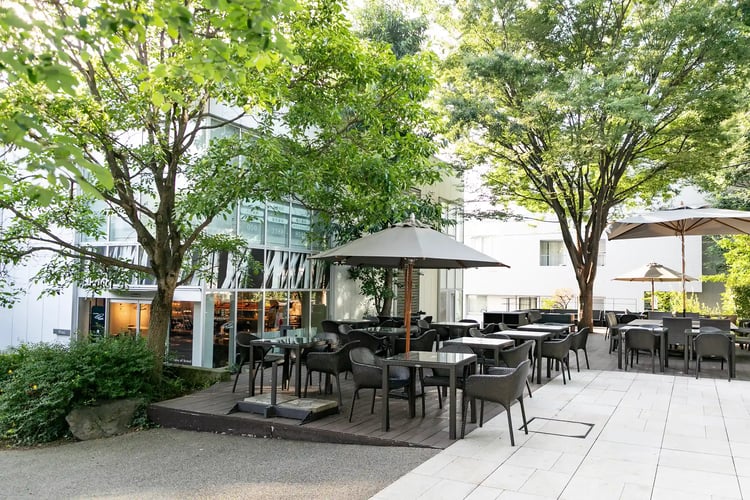 The Daikan-yama Landscape