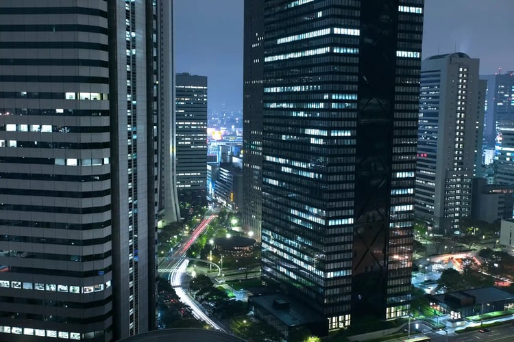 The Night View of Tokyo