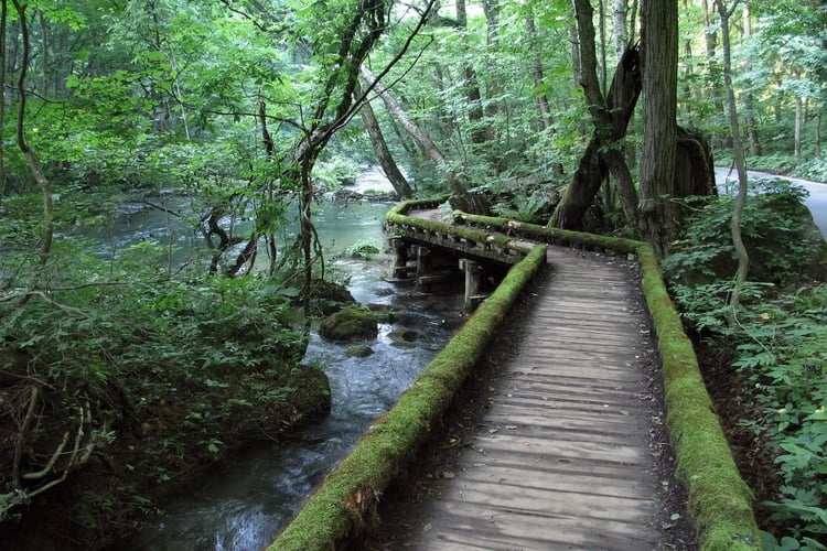 The beautiful walking trail of the Oirase Gorge