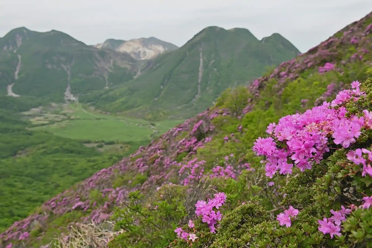 Miyama Kirishima Mount Naka Mount Hoshoshu  and Mount Mimata as seen from directly below Mt Heiji_s south peak