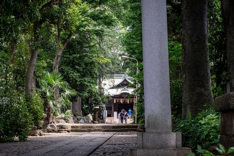 Yoyogi Hachimangu Shrine, Shibuya, Tokyo