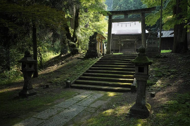 A Summer View of a Torii Gate and a Shrine