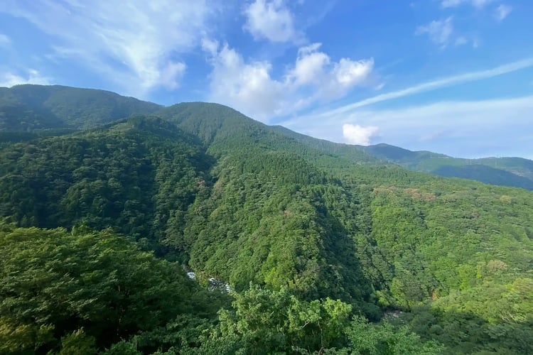 Hakone Mountains