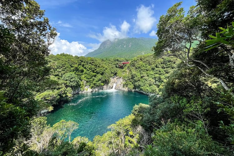 Toroki-no-taki Waterfall (Yakushima)