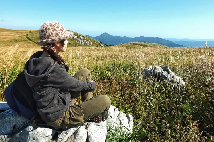 Viewing the Susuki grass fields on Shikoku Karst