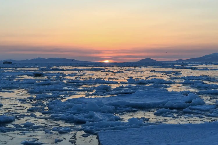 Rausu, Hokkaido Drift Ice at Sunrise