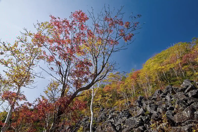 Senjokuzure Gorge (or Ravine) and the autumn foliage